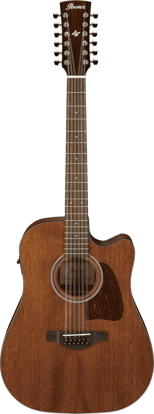Oscar Schmidt 12-String Acoustic Electric Guitar BLUE – CamposMusic