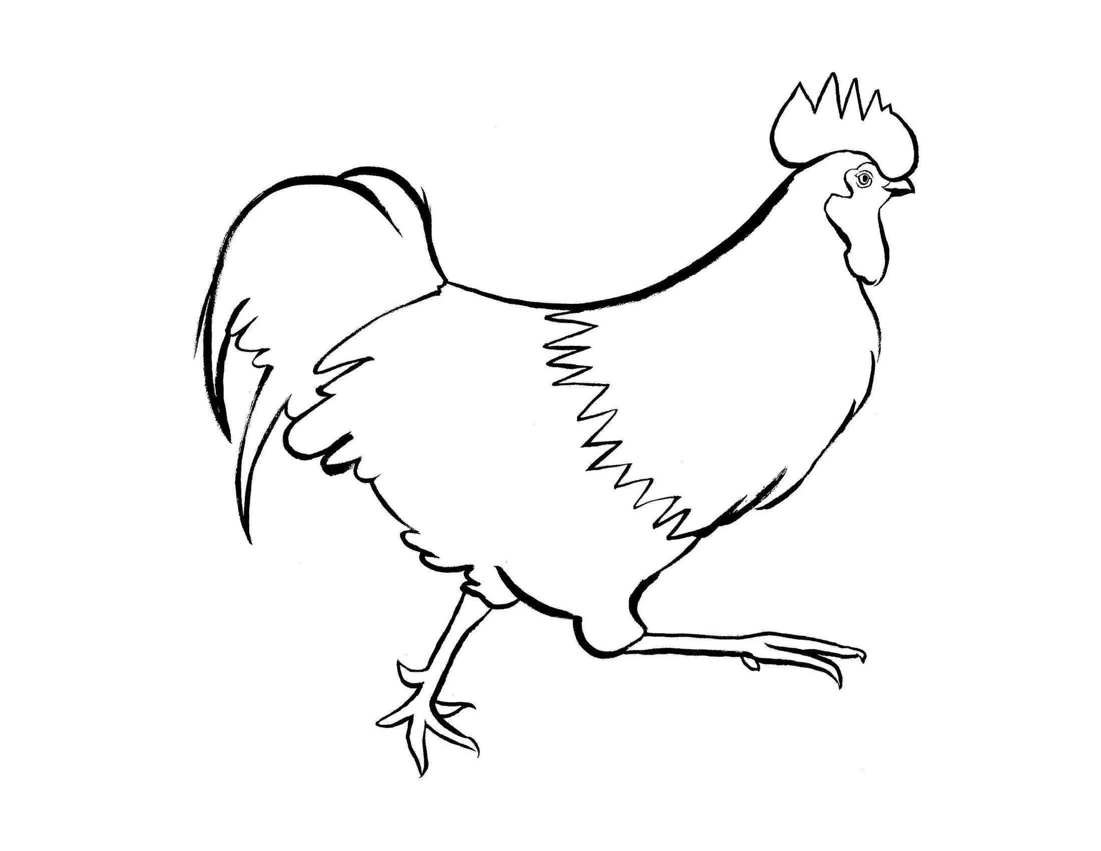 Rooster Coloring Activity for Elderly Adults with Dementia and Alzheimer's