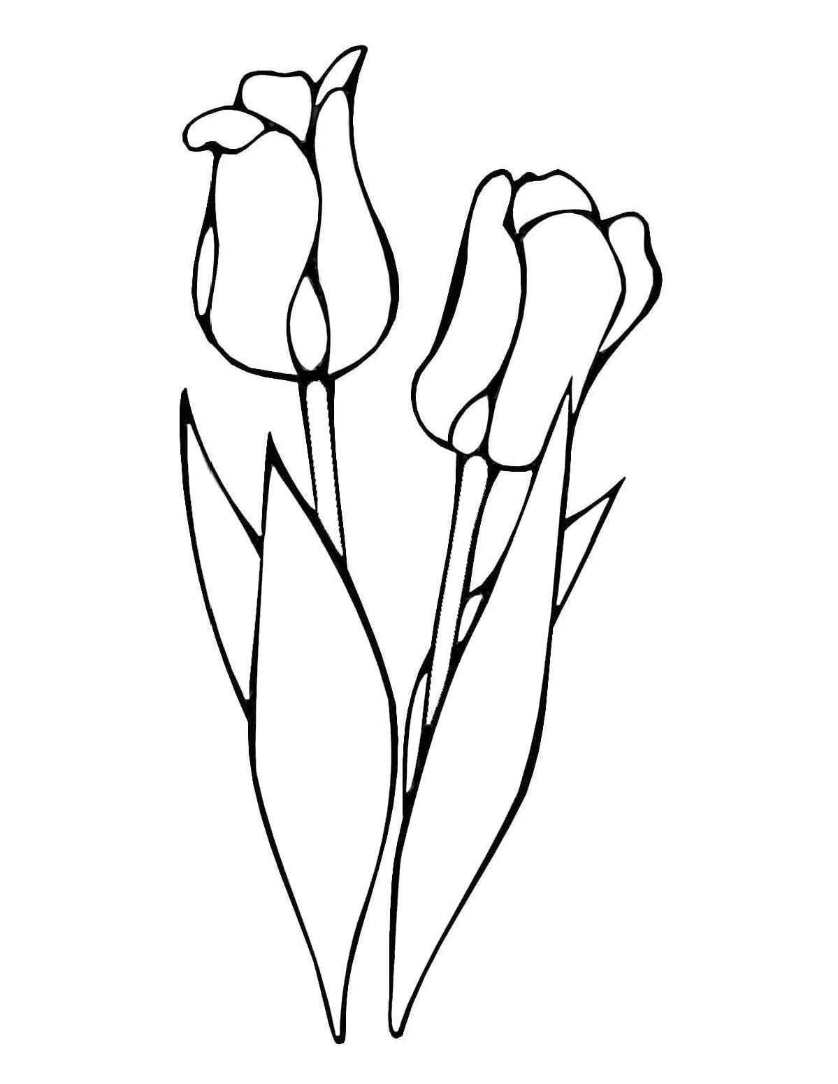 Tulip Coloring Activity for Elderly Adults with Dementia and Alzheimer's