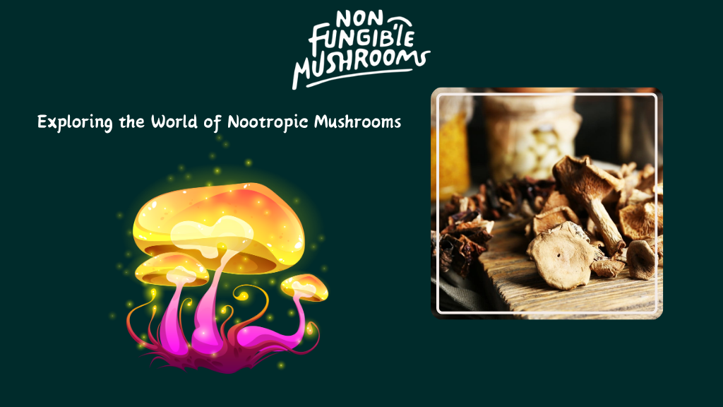 Daily Incorporation of Nootropic Mushrooms