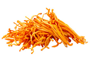 organic_cordyceps.jpg__PID:bc02939f-2f2a-4387-8474-a97aa48a9db8