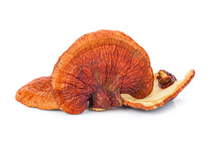 organic_reishi.jpg__PID:939f2f2a-9387-4474-a97a-a48a9db88077