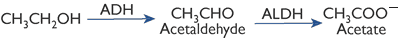 Chemical formula for alcohol metabolism