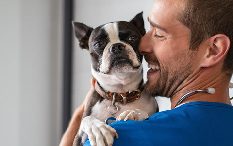 Ein Mann liebt seinen Hund und gibt ihm die beste Pflege 