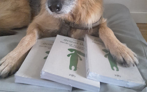 Hund mit Büchern