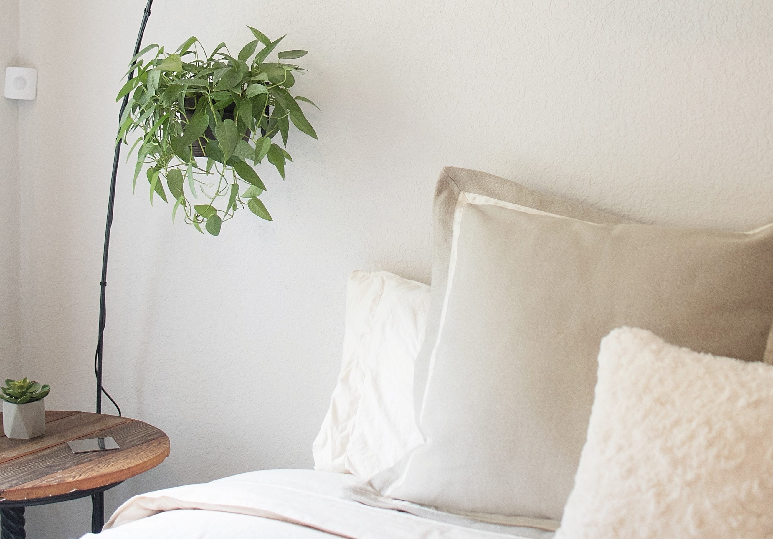 Corner of a bed with pillows on it and a plant hanging over a table next to it