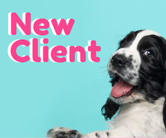 New client banner with a cute dog and blue background