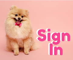 Sign in banner with a cute dog and pink background