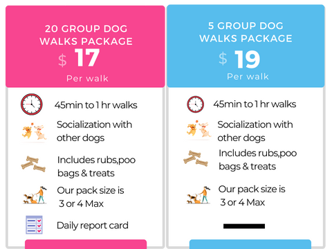 Group walks for $17