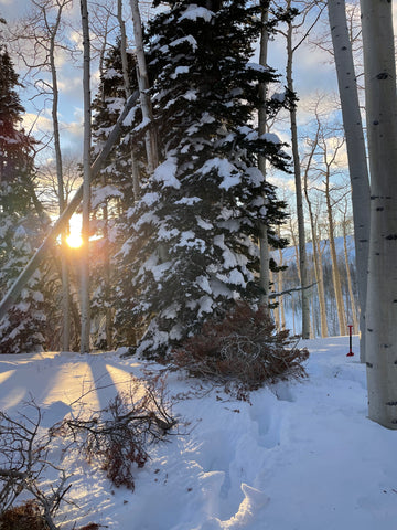 Winter Landscape at First Light