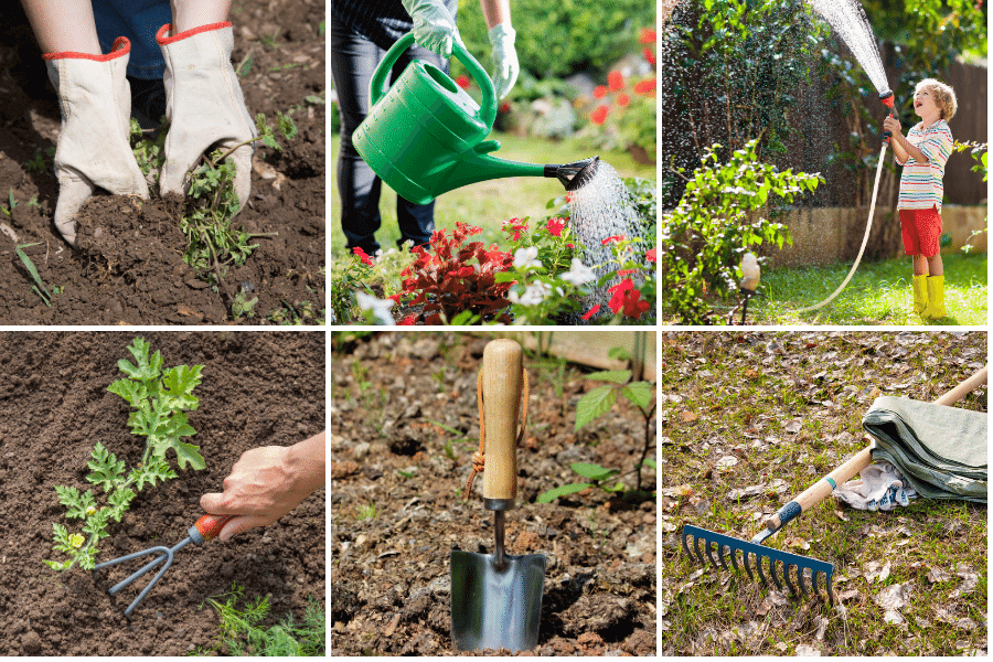 Top Essential Gardening Tools Every Beginner Needs