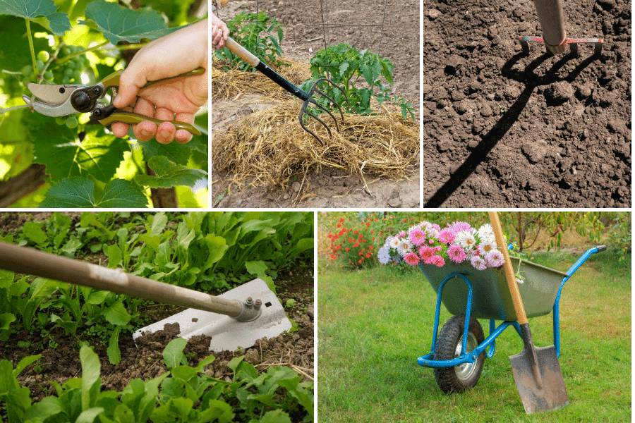 Top Essential Gardening Tools Every Beginner Needs