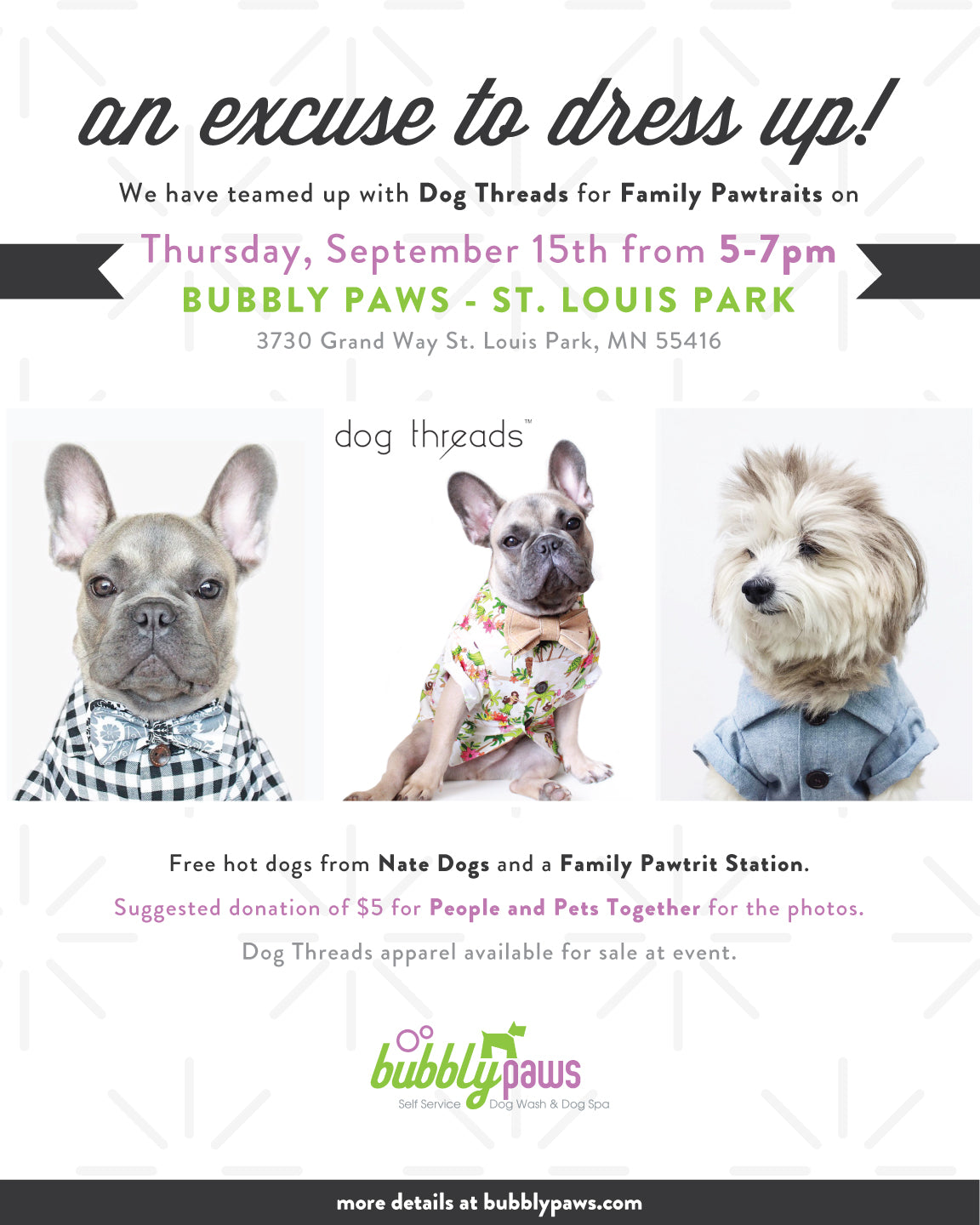 Awkward Family Pawtraits at Bubbly Paws in Minnesota | Dog Threads