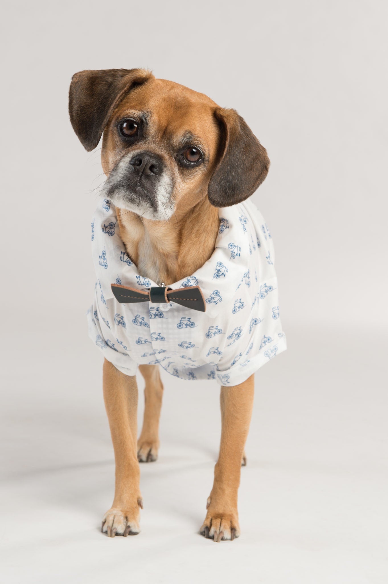 Dog Clothing by Dog Threads Shop Our Exclusive Design Collaborations