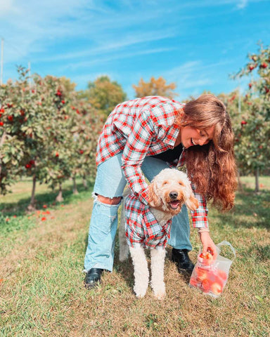 woman and goldendoodle dog at an apple orchard