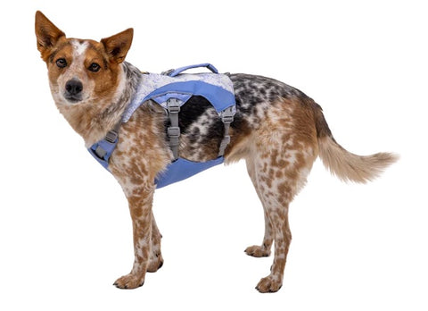Cooling harness for dogs by Ruffwear