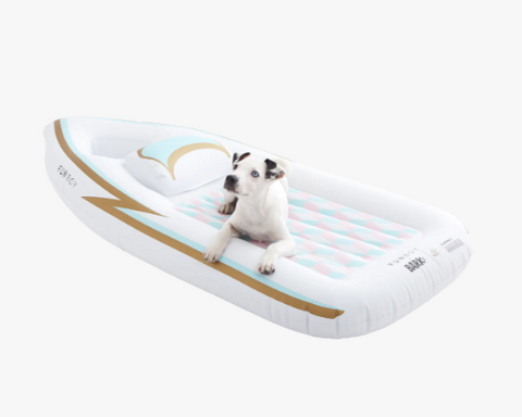 Pool float for dogs