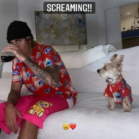 Justin Bieber sitting on a sofa drinking a glass of red wine next to his small white dog named Oscar both wearing matching red tropical shirts. The caption "screaming!!" is placed along the top of the photo.