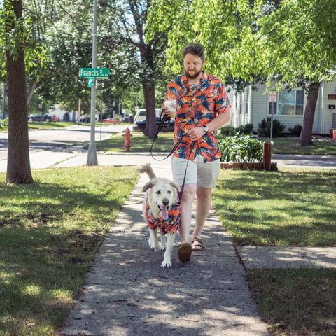 man walking large dog in matching tropical shirts