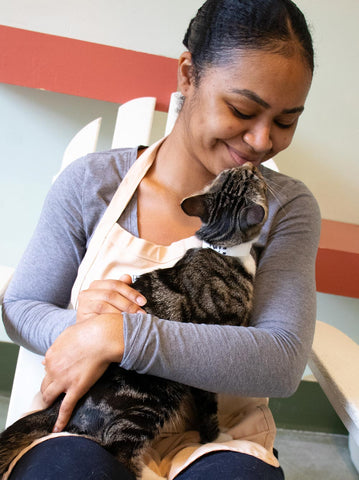 volunteer with PAWS Chicago holding a tabby cat