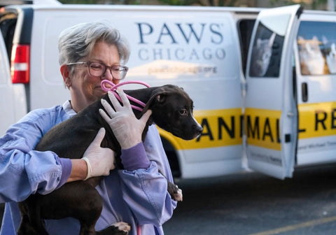 woman holding dog in front of an animal rescue van that says PAWS Chicago