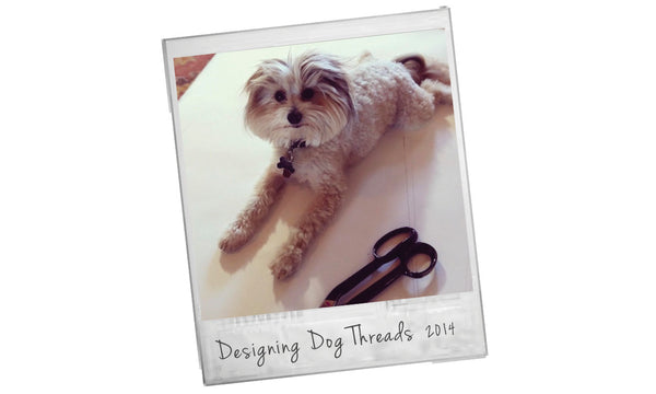 Get to Know Thomas of Dog Threads | Pomapoo Fashionista