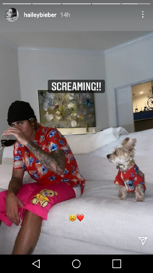 Hailey Bieber snapped a pic of her hubs, Justin Bieber, and their dog Oscar last night lounging in their matching red Hawaiian print shirts by Dog Threads. Shop the Vintage Vacay BBQ Shirt here shown on @haileybieber's Instagram Stories featuring @justinbieber and their dog @oskietheposkie.