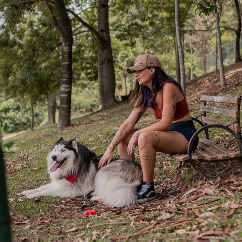 woman sitting on park bench with a big fluffy dog