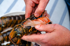 Preparing a Lobster Tail