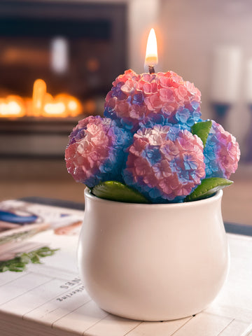 Southlake Gifts Canada Hydrangea Candle, self care candle