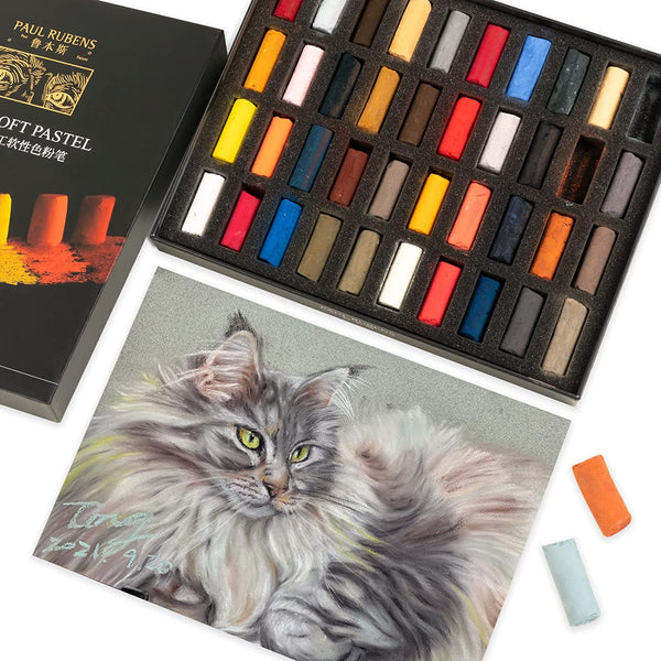 Paul Rubens Oil Pastel Art Supplies Standard 24 Colors Set Amazing Gif –  AOOKMIYA