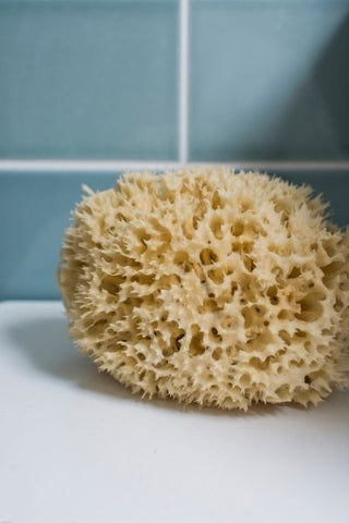 Bathing Sponge - Shower Sponge