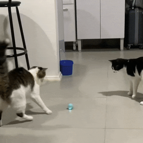 Bola interativa para gatos Brinquedo inteligente para entretenimento de gatos