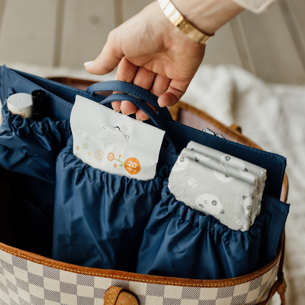 What's In Baby's Carry-On by Hillary Folkvord – ToteSavvy