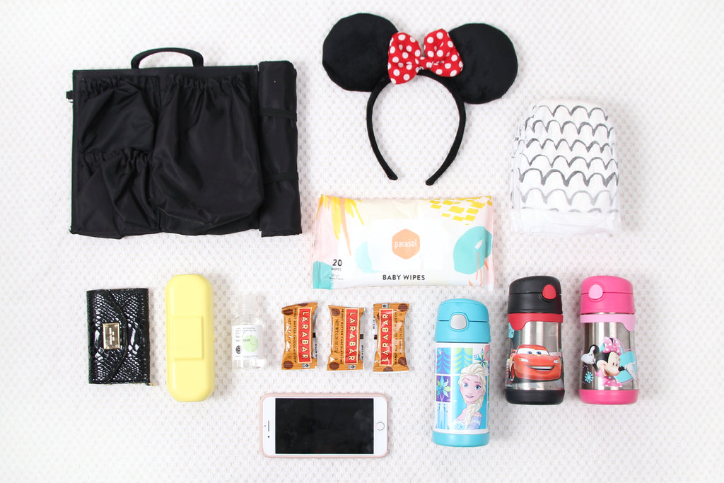 disneyland and ToteSavvy