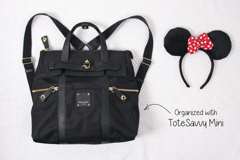 backpack organizer for disneyland