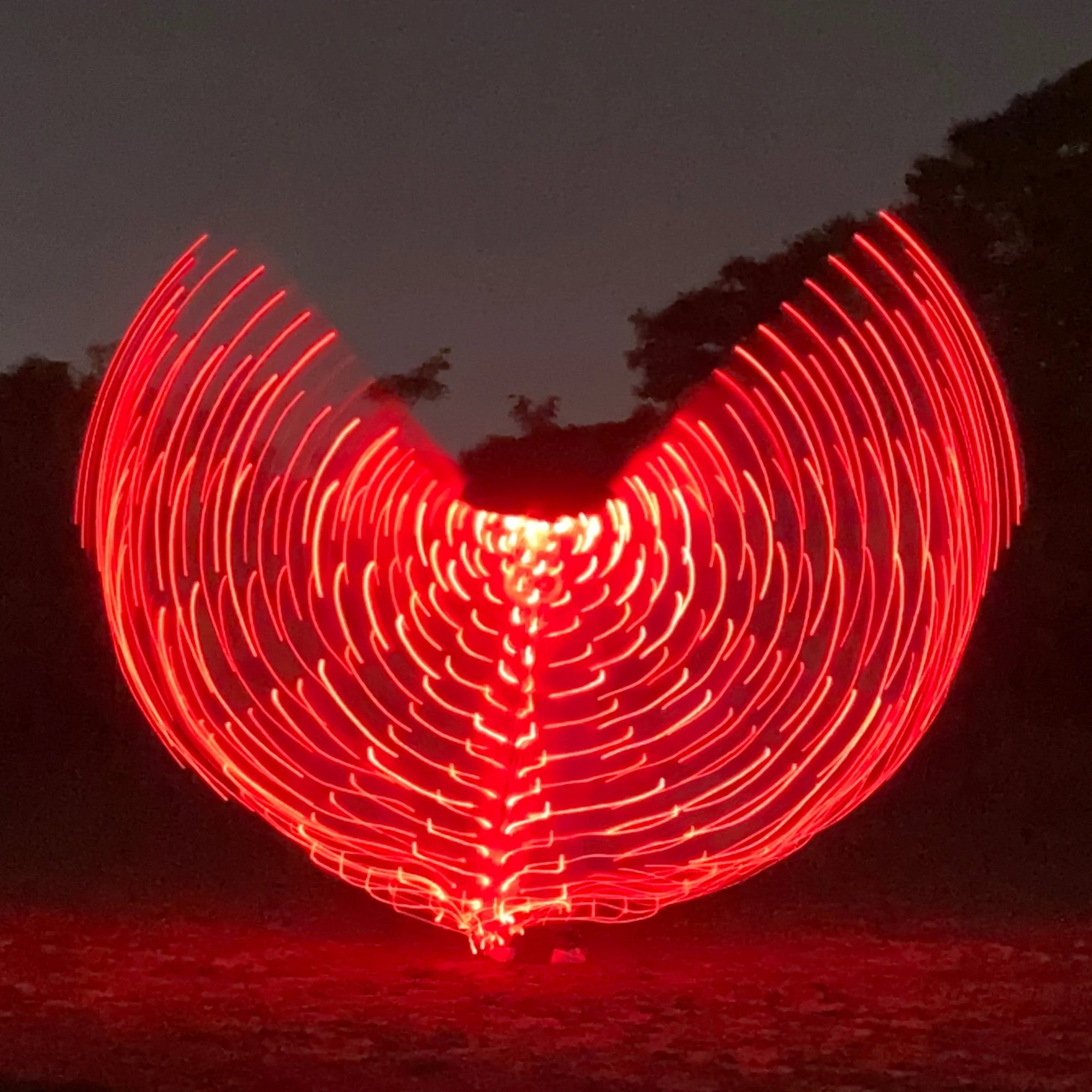 Fluorescent LED Butterfly Dance Wings for Performances - Image 30