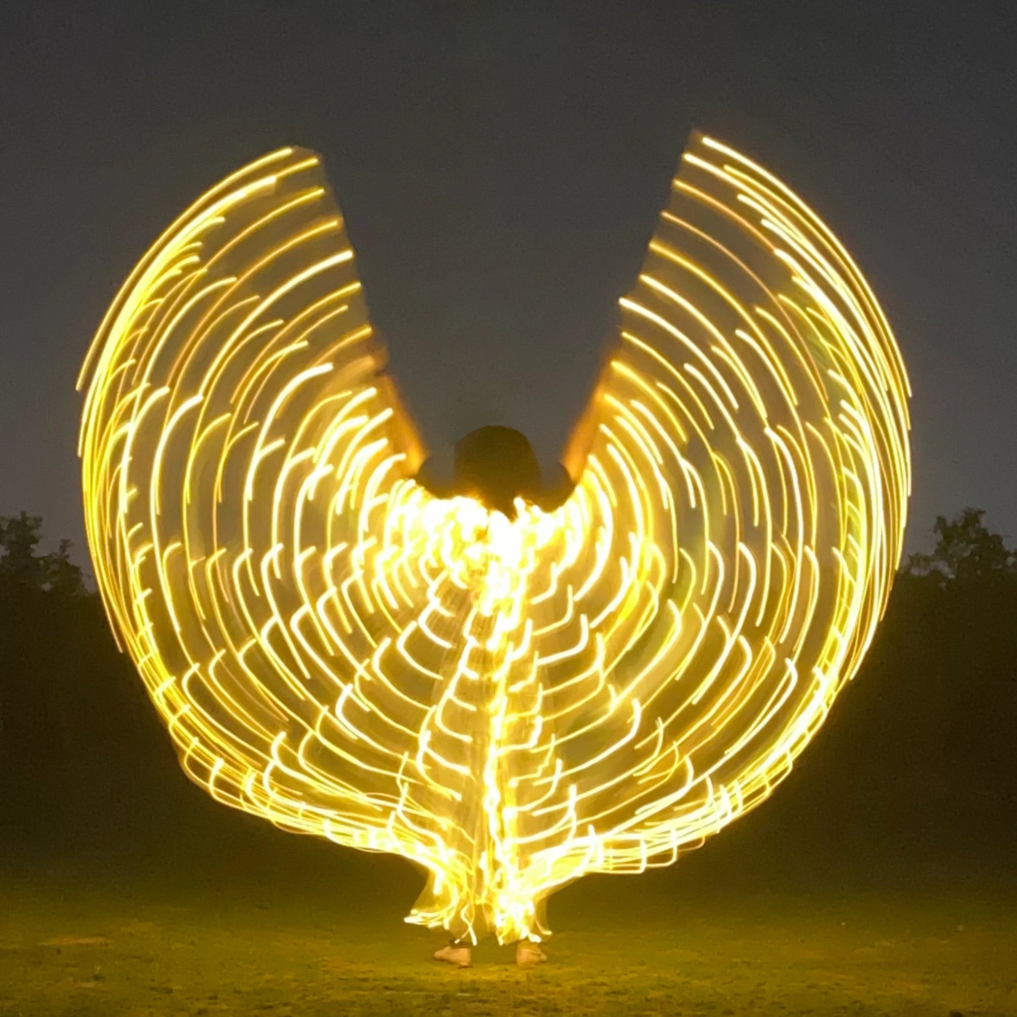 Fluorescent LED Butterfly Dance Wings for Performances - Image 33