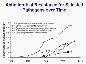 Antimicrobial resistance.jpeg__PID:b2c3ce6f-ed07-4dde-a4df-005e0eea7e2b