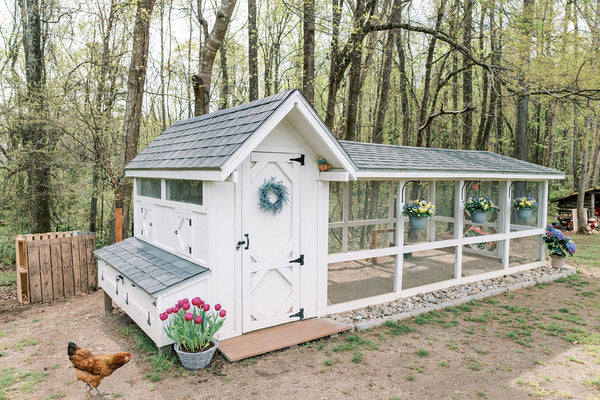 bee jeweled chicken coop building plans