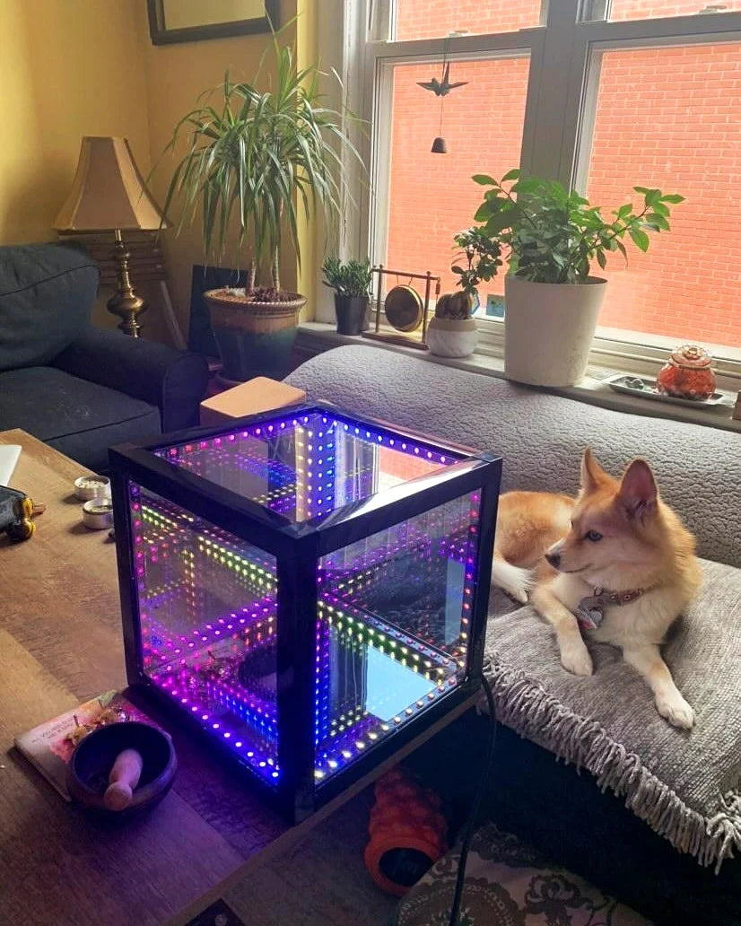 cube light next to dog