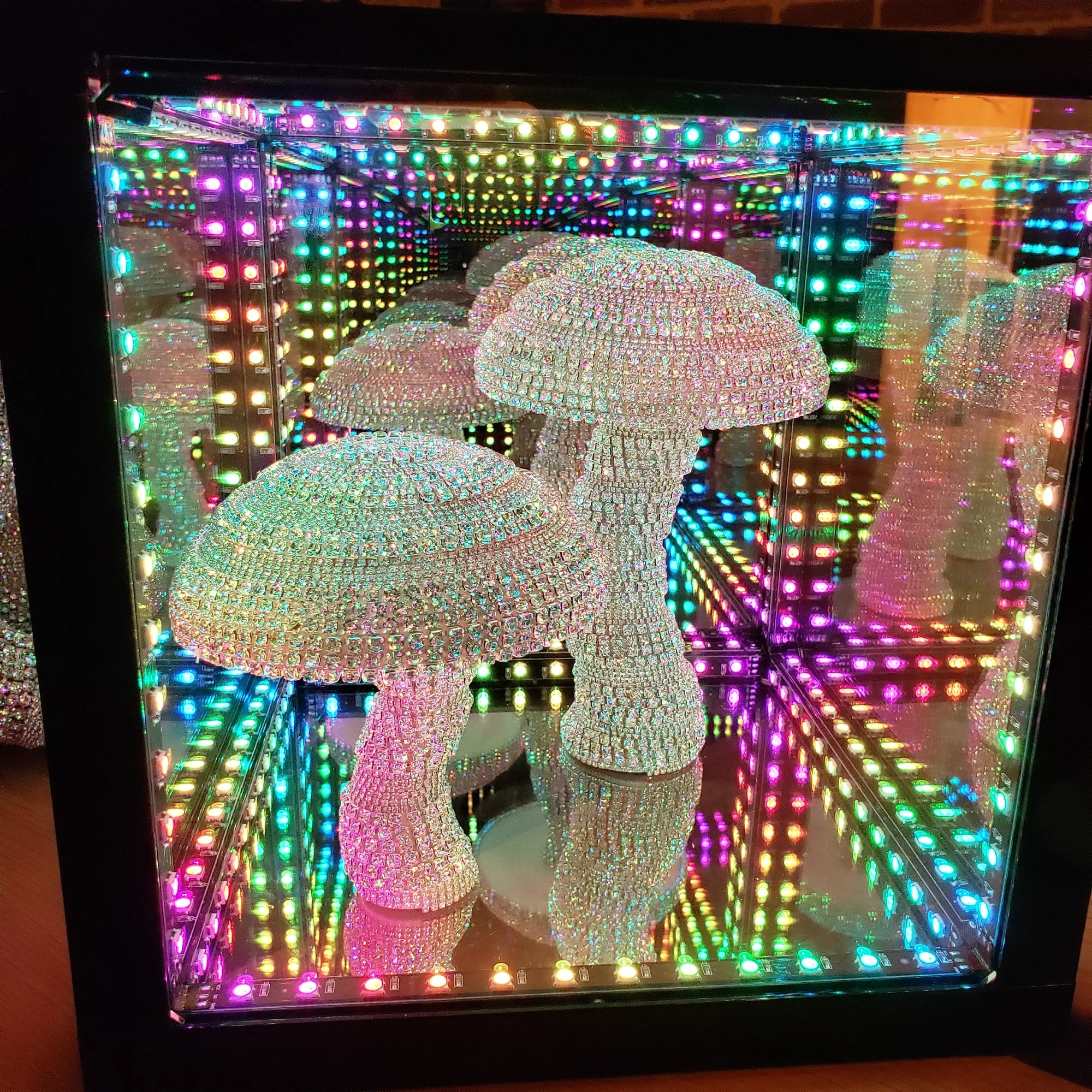 led lights shining on mushrooms