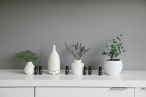 A collection of essential oil diffuser blends, an aroma om diffuser and plants on a white counter