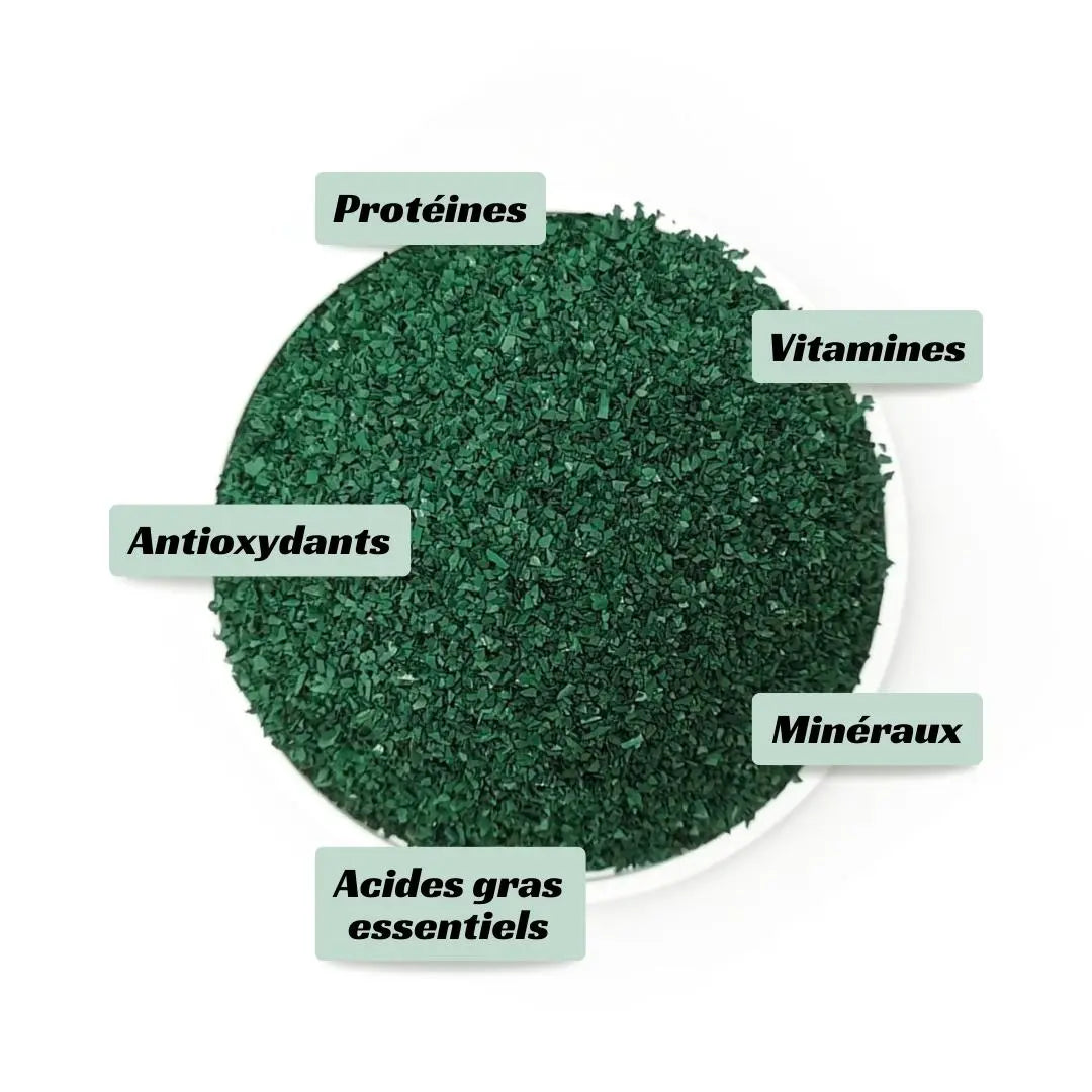 Composition nutritionnelle de la spiruline