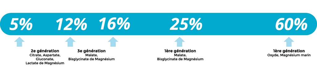 Biodisponibilité des différents types de magnésium