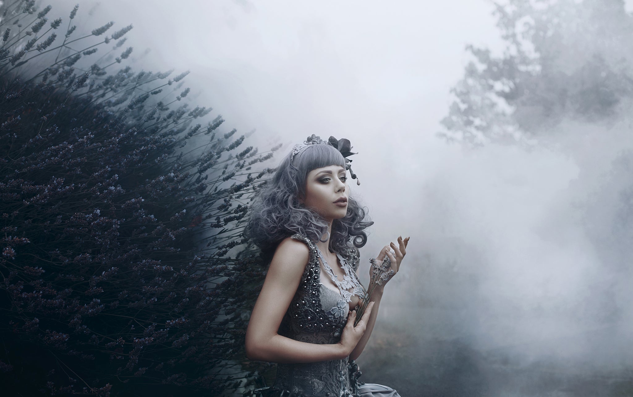 moody portrait by Bella kotak against lavender bushes and mist