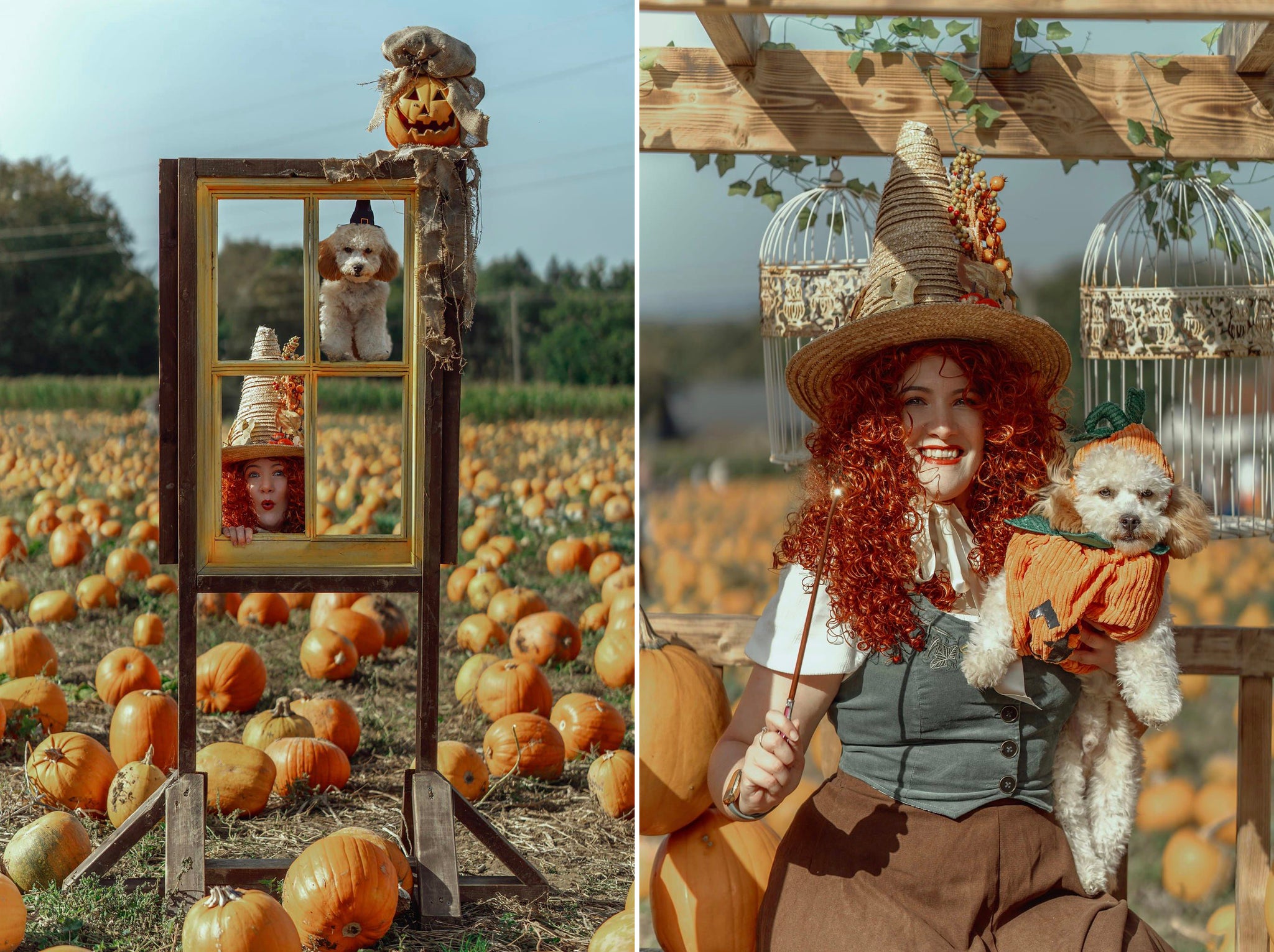 Creative and playful Wizard of Oz inspired photo set by Pascal in field with pumpkins using color tones by onlythecurious