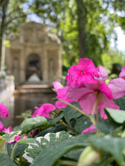 Luxembourg Garden, Medici Fountain, Paris, France