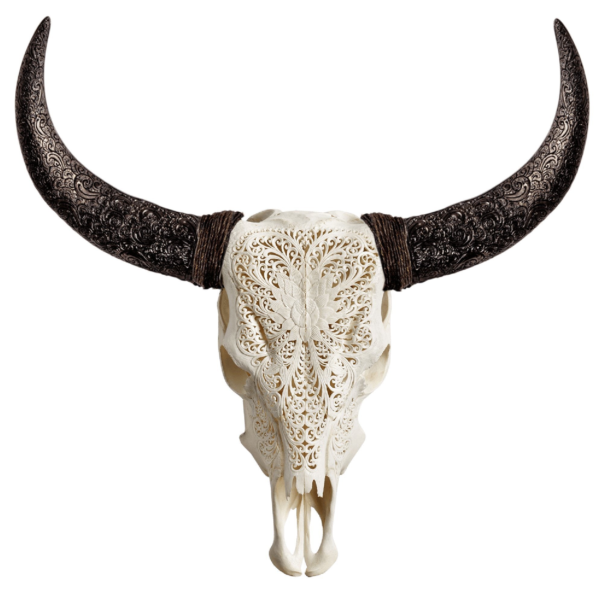 animal skulls with horns