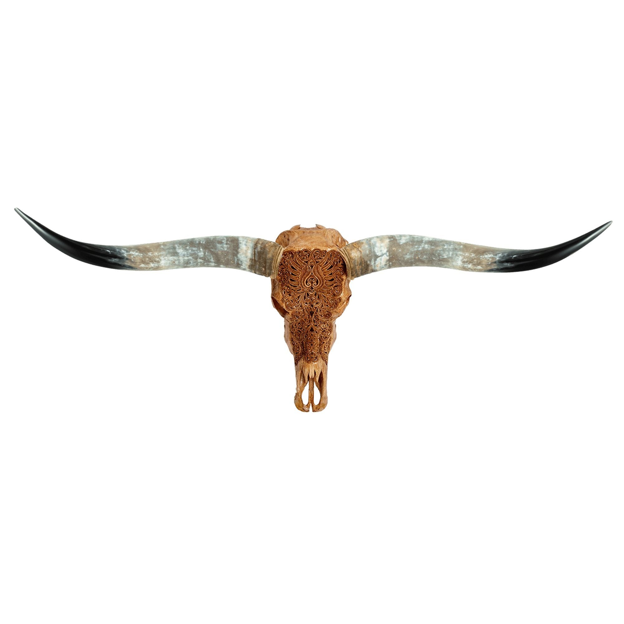 Hand Carved Longhorn Skull - Antique Phoenix - SkullBliss product image